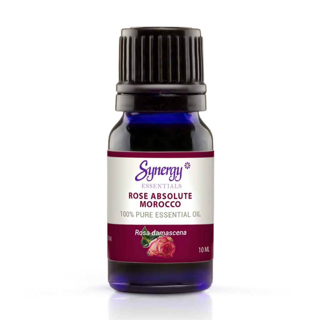 Rose absolute essential oil benefits | Synergy Essential