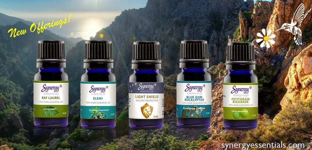 living young essential oils