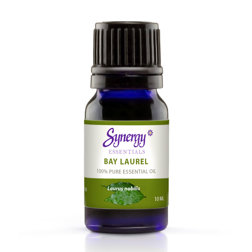 Expectorant Essential Oil | Bay Laurel Oil