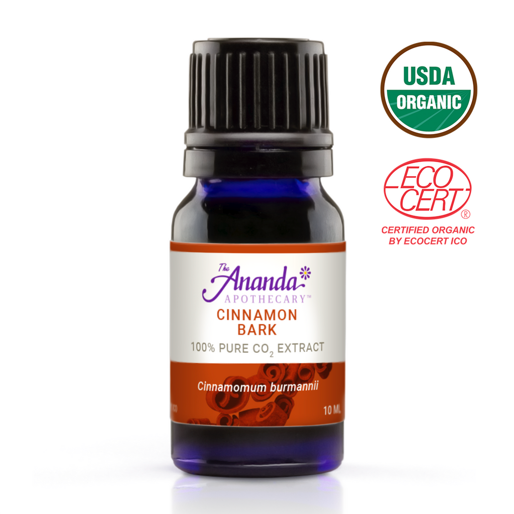 Cinnamon Oil |  A Potent Antibacterial Essential Oil