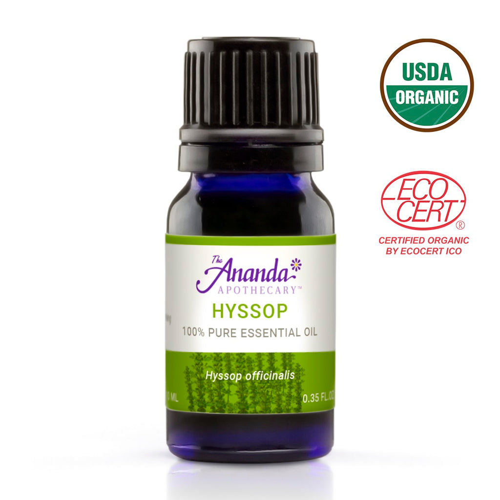 Hyssop organic essential oil | Potent antiviral oil